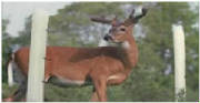Picture3.jpg